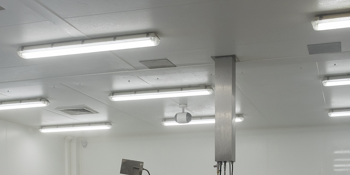 schoorsteen insect kaas LED verlichting: hét alternatief voor conventionele TL verlichting | Saled
